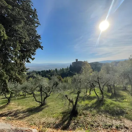In Tuscany * Chianni