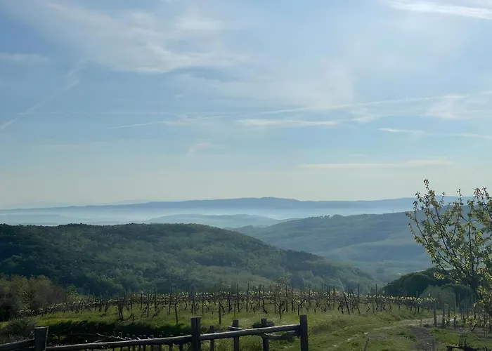 In Tuscany *